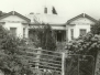 Matakana Photos