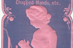 Wilkinson Chemist Dunedin