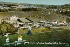 Bowling Club and Hockey grounds from Mt Hobson.