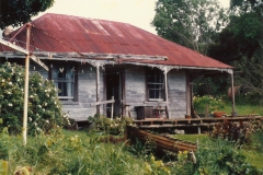 David Darroch home Big Omaha Whangateau c 1985 2